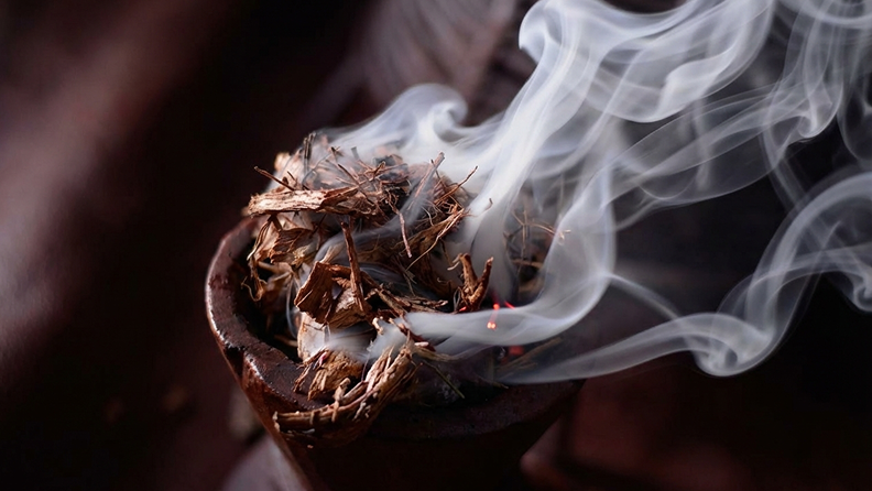 What Is Oud? And Why Does It Cost More Than Gold